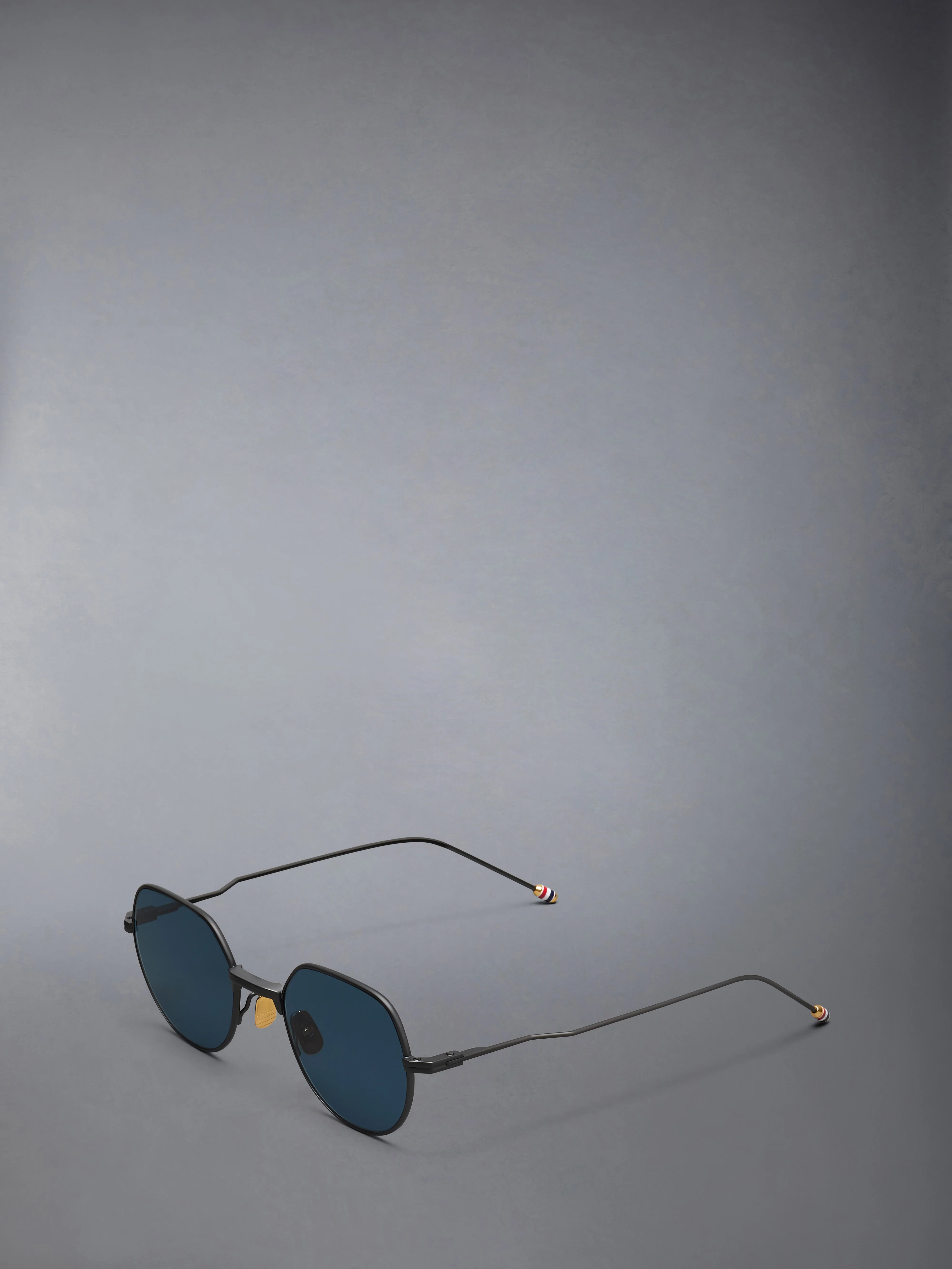 TITANIUM ROUND SUNGLASSES