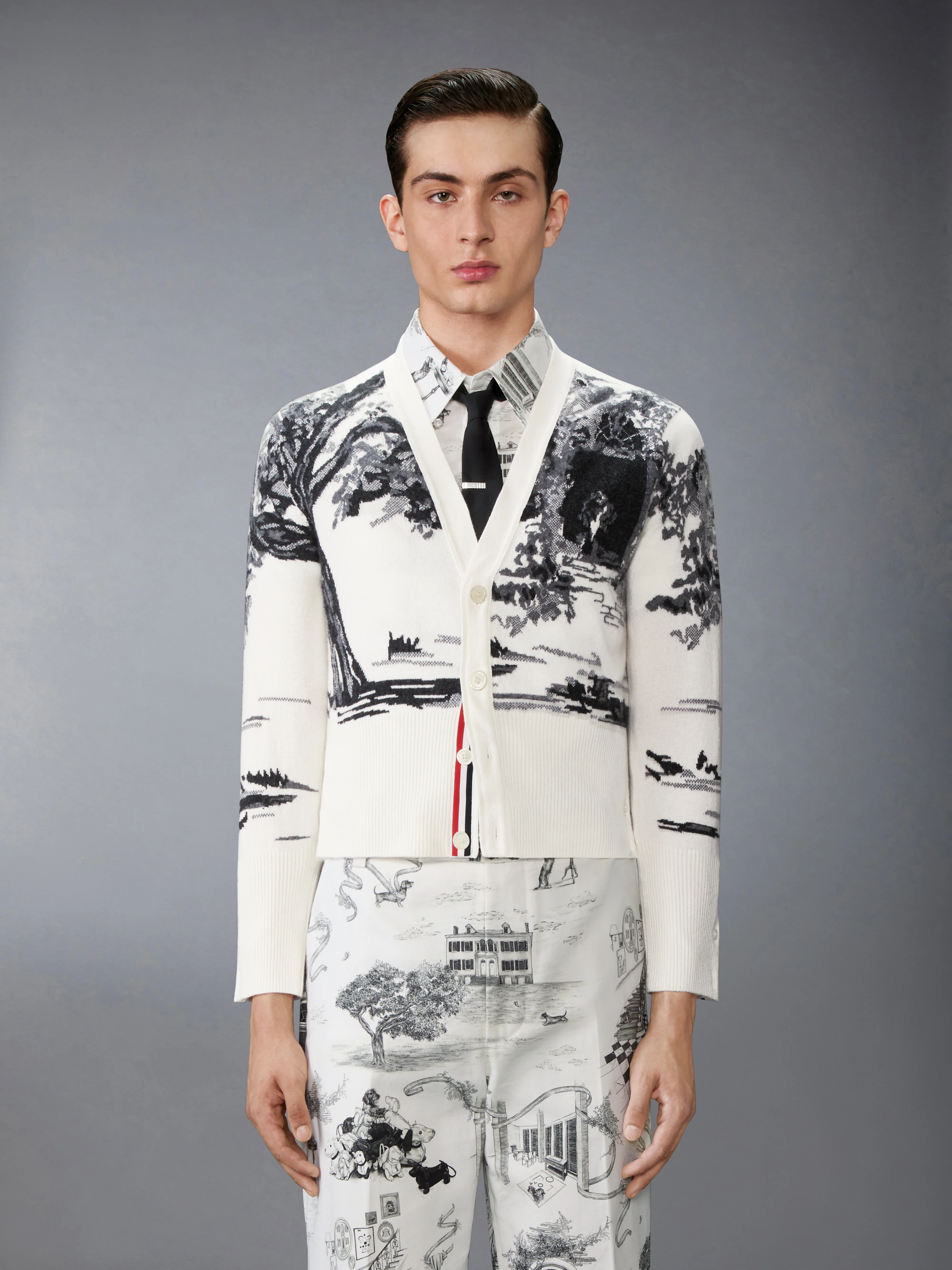 CASHMERE JERSEY INTARSIA HECTOR TOILE CARDIGAN