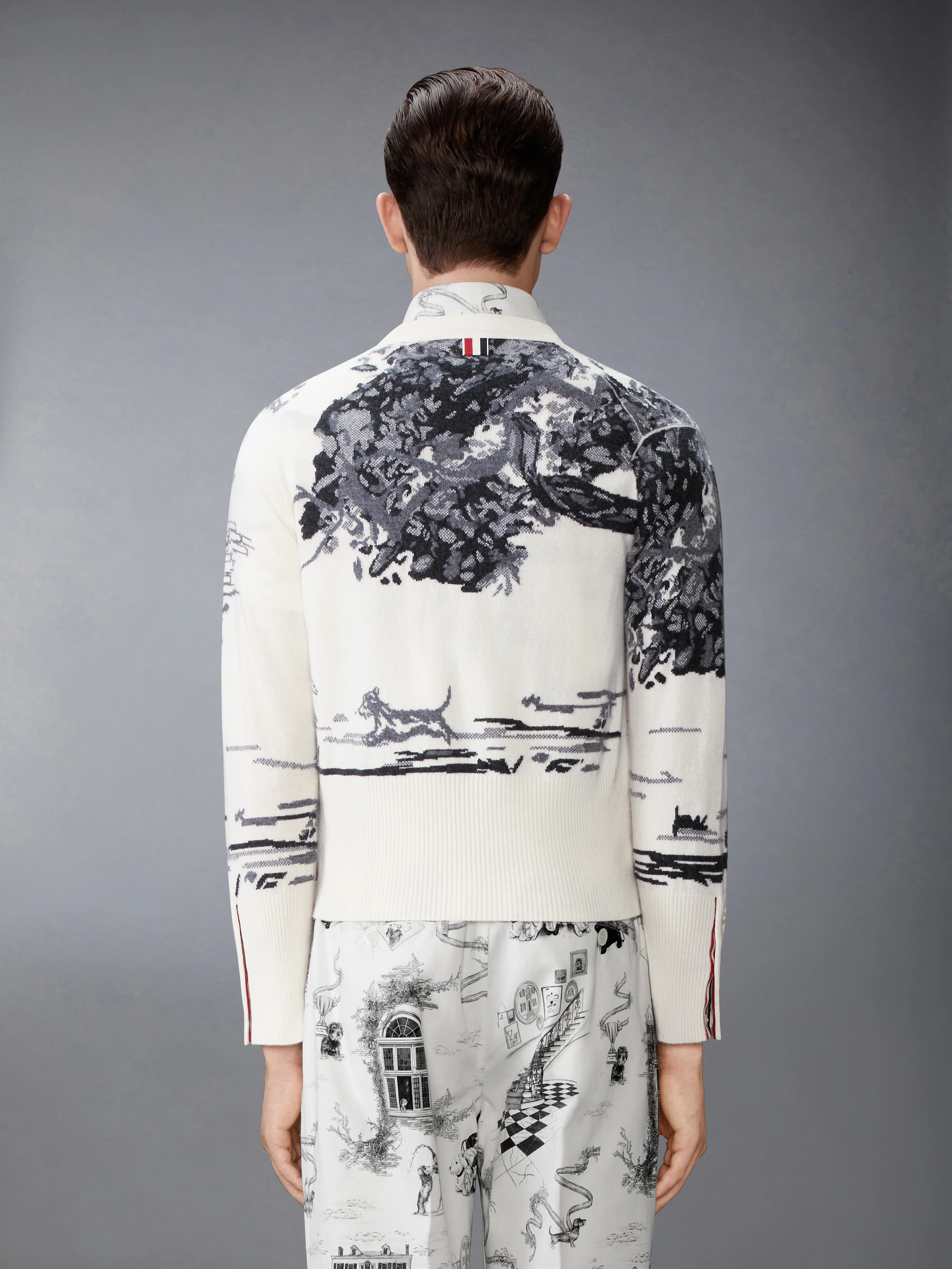 CASHMERE JERSEY INTARSIA HECTOR TOILE CARDIGAN
